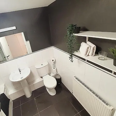 公寓 Lovely 2 Bedroom Apartment- Guinness Storehouse 都柏林